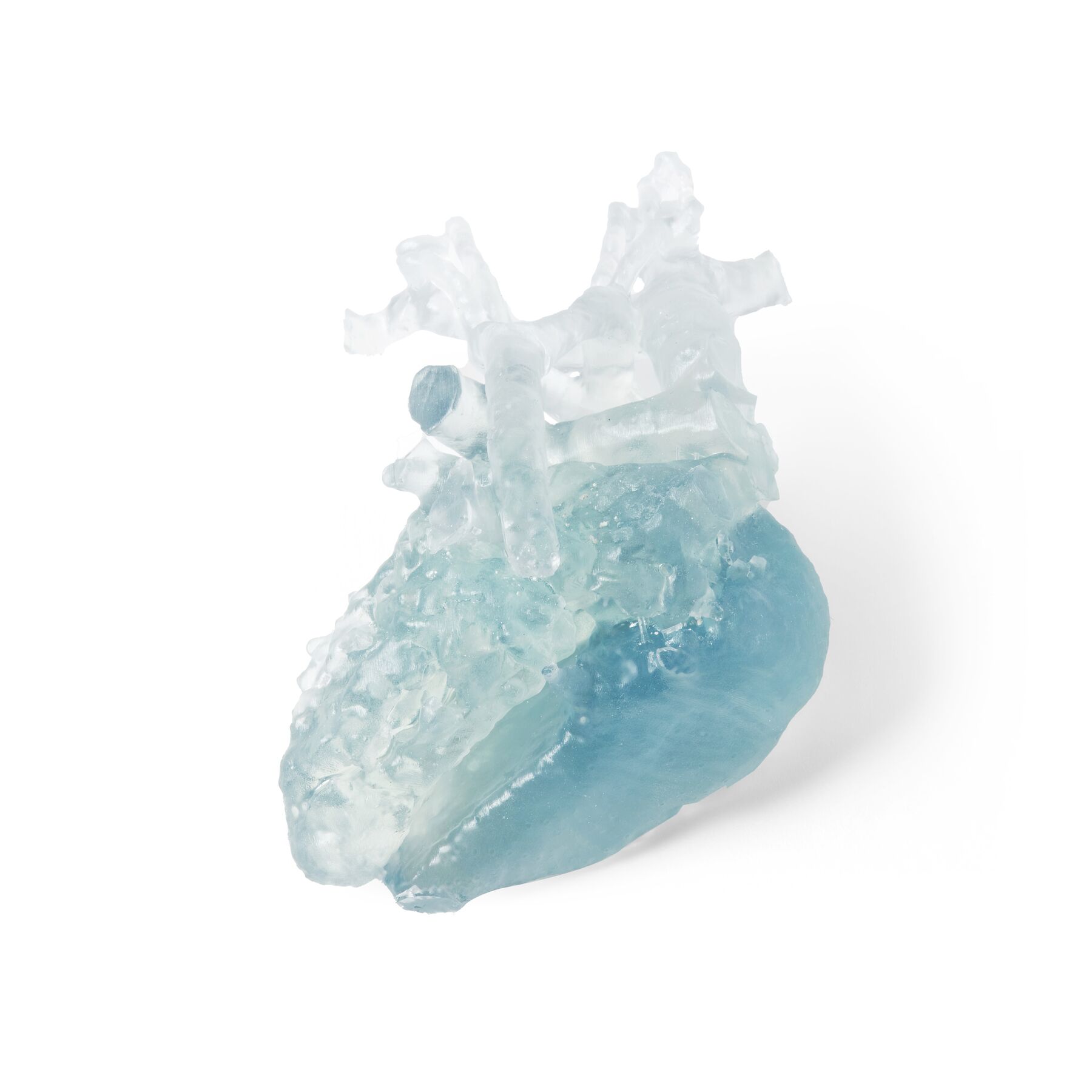 Optimized_For_Web_JPEG-FORMLABS_BIOMED FLEXIBLE 80A RESIN_021